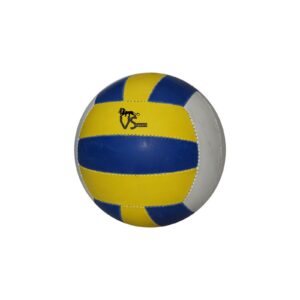VS Sports volleyball