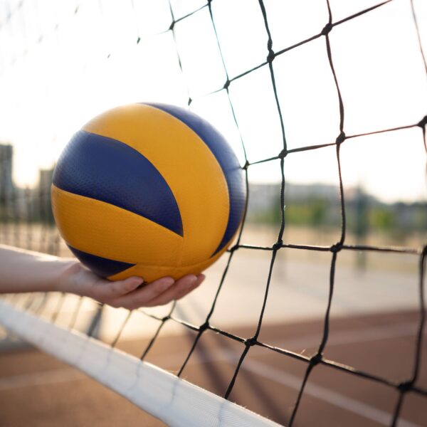 Volley Perfect