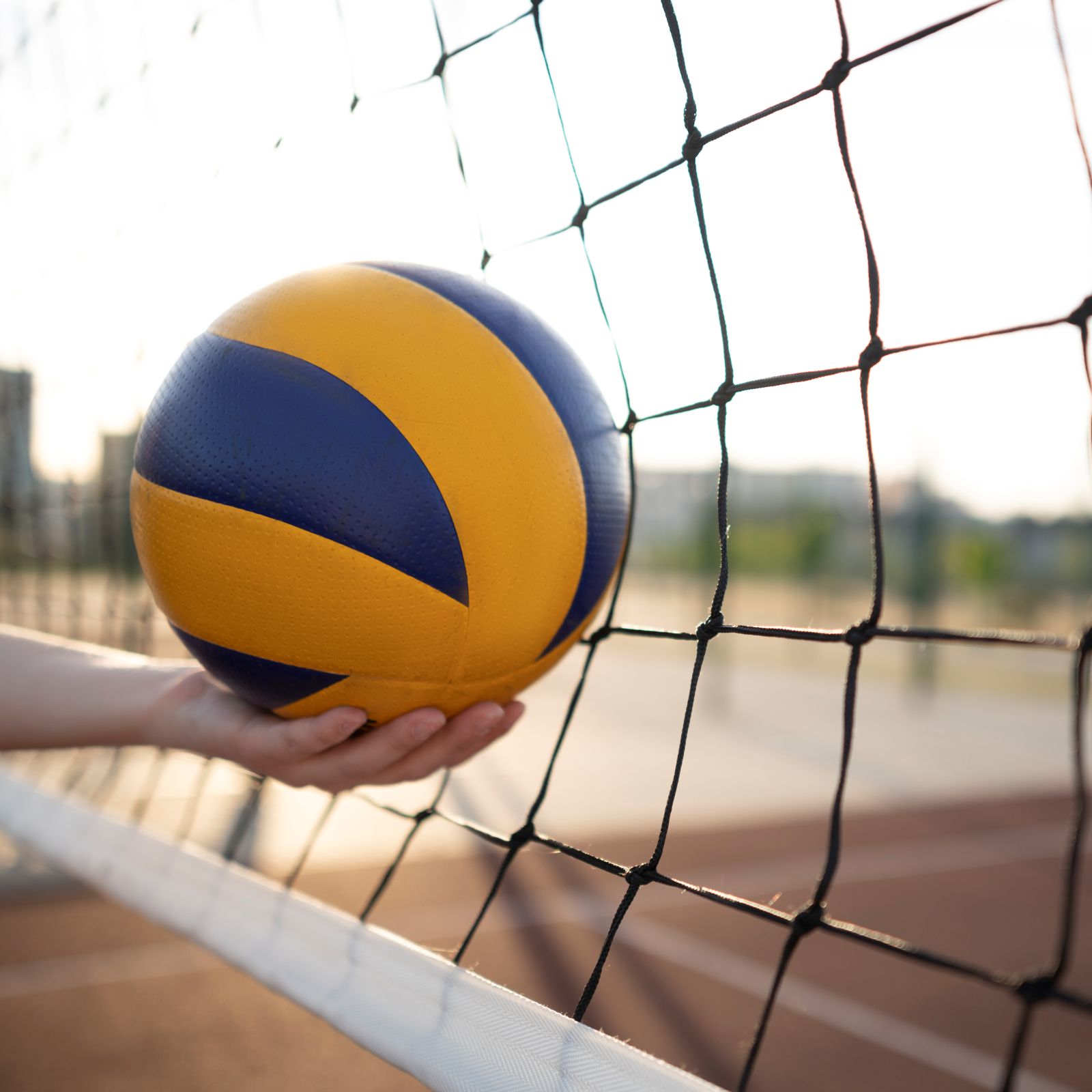 Volley Perfect
