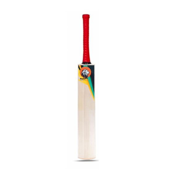 Kashmiri willow cricket bat
