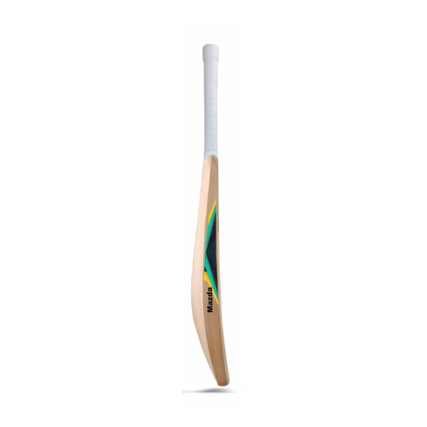 Kashmiri willow cricket bat