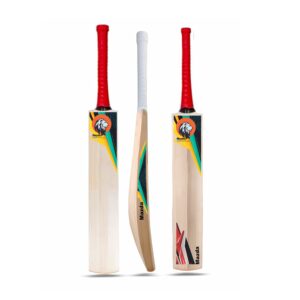 Kashmiri willow cricket bat