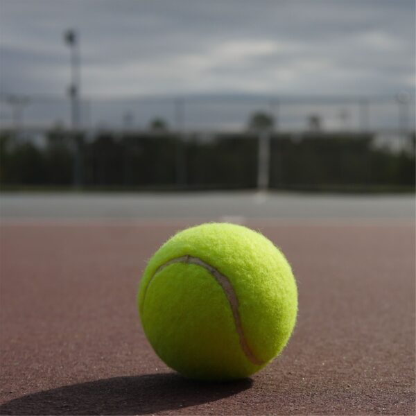 Tennis Cricket Ball