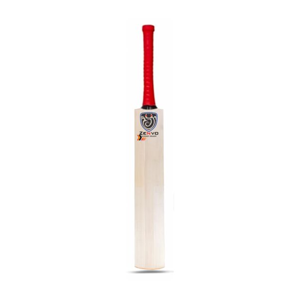 Kashmiri willow cricket bat