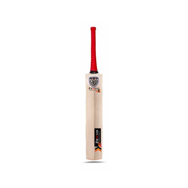 Kashmiri willow cricket bat