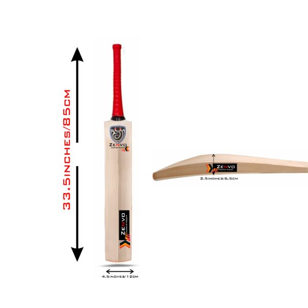 Kashmiri willow cricket bat