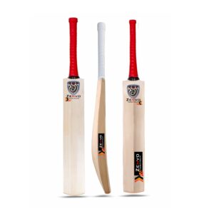 Kashmiri willow cricket bat