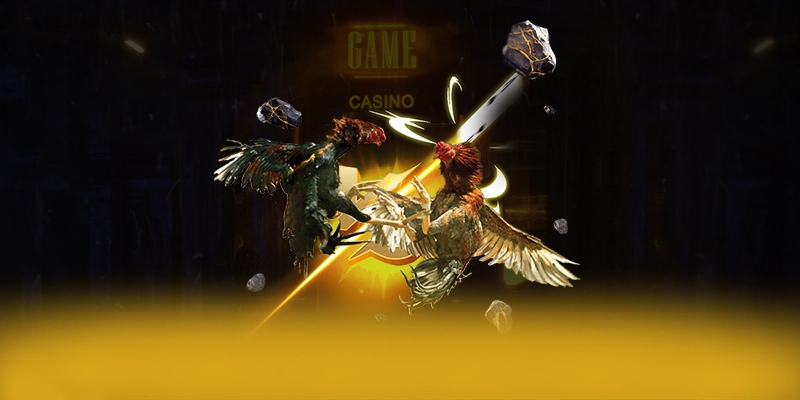 ĐÁ GÀ TRỰC TIẾP - Kết luận và đánh giá chung từ cộng đồng game thủ.