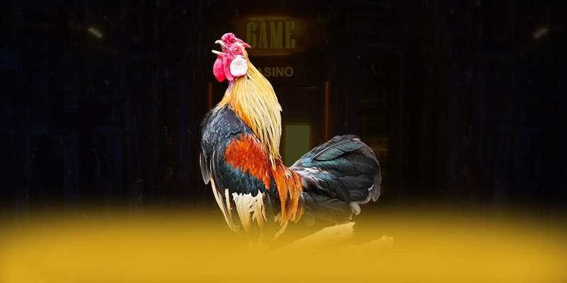 
Giới thiệu VWIN - Cổng game bài phổ biến nhất tại Việt Nam
