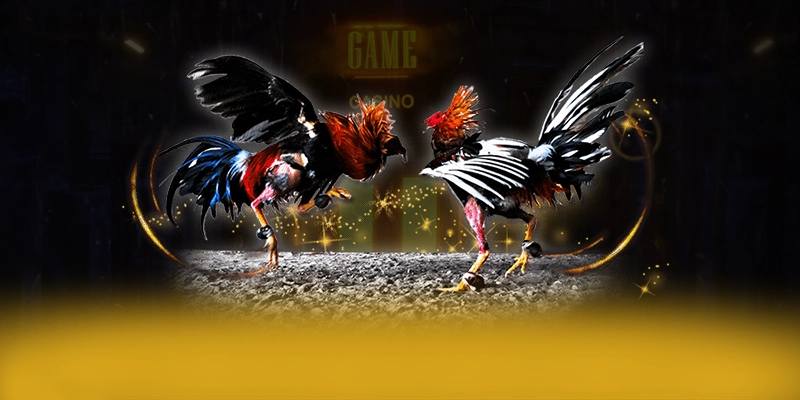 UU88 - Nhà cái uy tín hiện nay