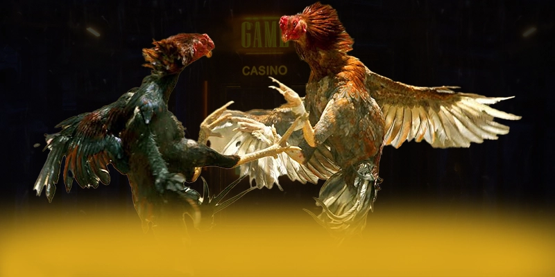 SA88 - Thương hiệu được cộng đồng tin tưởng được người chơi tin dùng – Tìm hiểu về độ tin cậy và bảo mật tại SA88