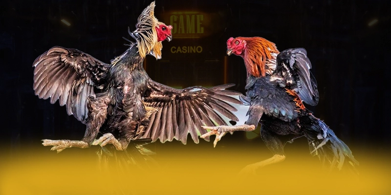 CONGA6789 - Ứng dụng giải trí bảo mật cao được người chơi tin dùng – Tìm hiểu thêm về CONGA6789 CONGA6789 - Ứng dụng giải trí bảo mật cao được người chơi tin dùng – Tìm hiểu thêm về CONGA6789