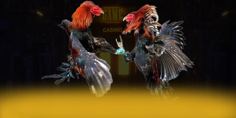 GA6789 - Nhà cái an toàn trên thị trường – Khám phá ngay GA6789