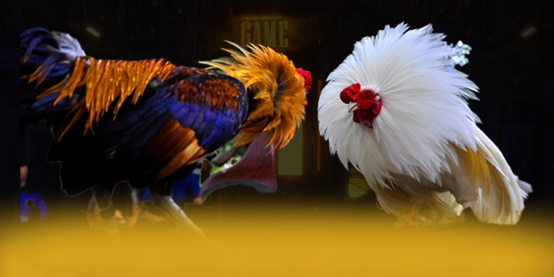 LC88 – Thương hiệu được tin dùng, được cộng đồng game thủ tin tưởng.