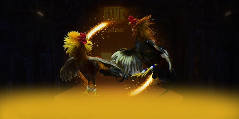 CONGA6789 - Sảnh game được game thủ tin tưởng trên thị trường CONGA6789 - Sảnh game được game thủ tin tưởng trên thị trường