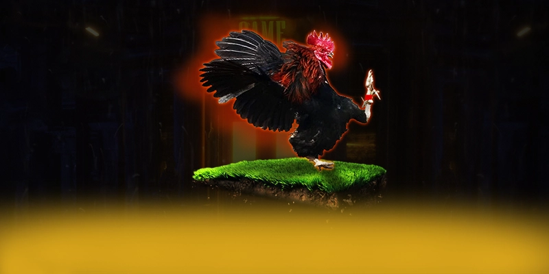 UU88 - Sảnh game minh bạch hiện nay – Khám phá hệ thống bảo mật tại UU88