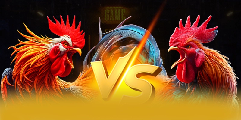 SUNWIN - Cổng game được cộng đồng săn đón được người chơi tin tưởng – Trải nghiệm ưu đãi hấp dẫn cùng SUNWIN