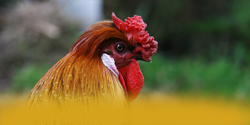 
Đánh giá tài xỉu online - Cổng trò chơi hàng đầu Việt Nam được quan tâm
