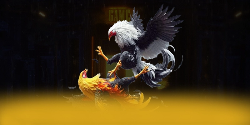 tỷ lệ kèo bóng đá - Cổng game bài minh bạch trên thị trường – Tìm hiểu về độ tin cậy và bảo mật tại tỷ lệ kèo bóng đá