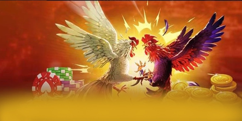 tài xỉu online - Cổng cá cược được đánh giá cao hiện nay