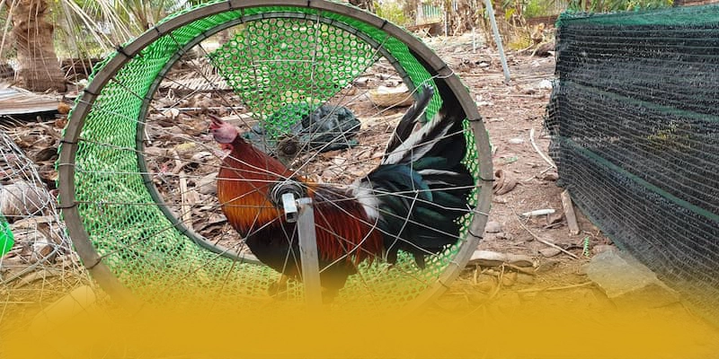 Ku88 – Cổng trò chơi đáng chơi nhất, được người chơi yêu thích. Ku88 – Cổng trò chơi đáng chơi nhất, được người chơi yêu thích.