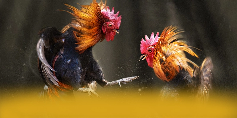 B52 - Thương hiệu được cộng đồng tin tưởng hiện nay – Khám phá ngay B52