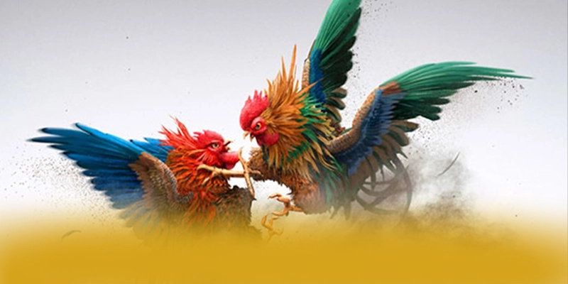 FC88 - Tổng hợp đánh giá từ cộng đồng game thủ.