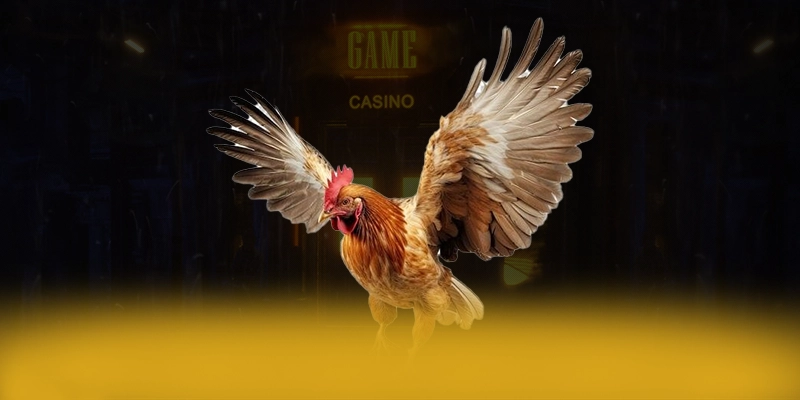 8XBET - Cổng cá cược ổn định 2025 8XBET - Cổng cá cược ổn định 2025