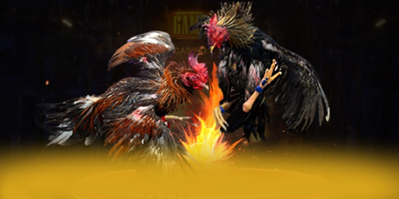 8XBET - Cổng game có danh mục game hấp dẫn 2025 8XBET - Cổng game có danh mục game hấp dẫn 2025