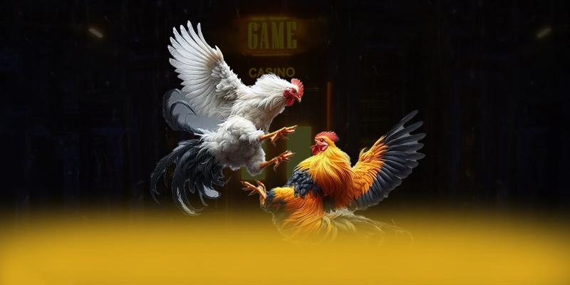 Đánh giá toàn diện 8xbet - Nhà cái uy tín đẳng cấp 2025 Đánh giá toàn diện 8xbet - Nhà cái uy tín đẳng cấp 2025
