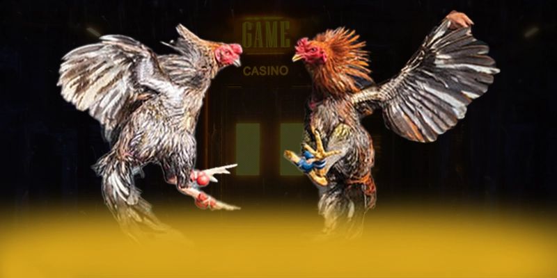 vào rồi tv - Cổng game hiệu năng vượt trội cả điện thoại lẫn máy tính vào rồi tv - Cổng game hiệu năng vượt trội cả điện thoại lẫn máy tính